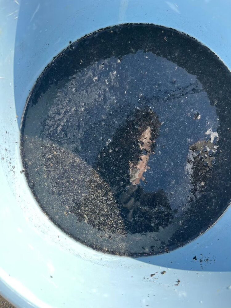 エアコン内部の洗浄で出た、カビやホコリを含む真っ黒な汚水